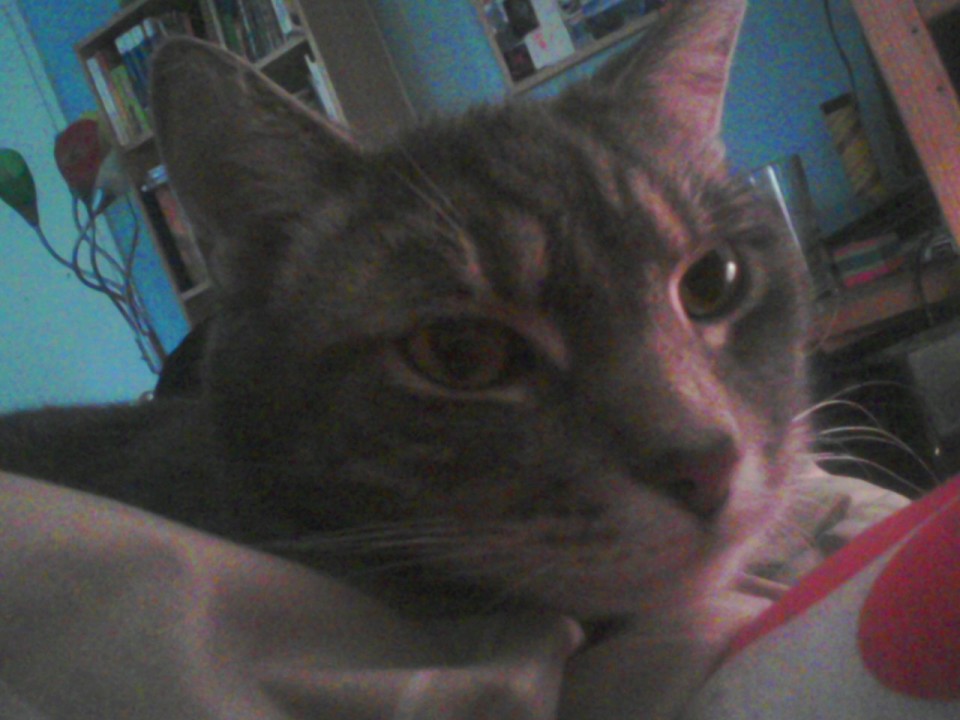 Wallace
