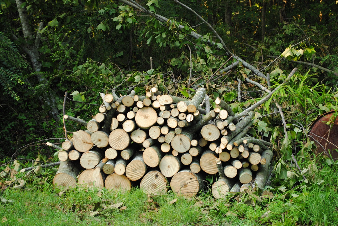 logs