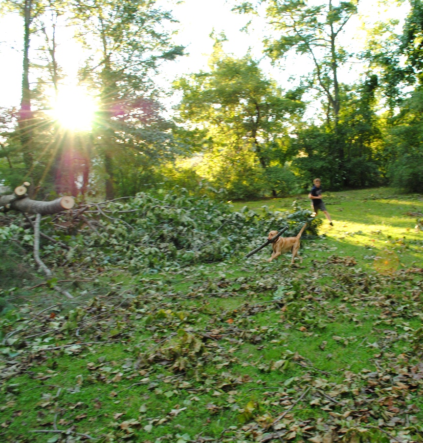 lilly, kevin in pursuit