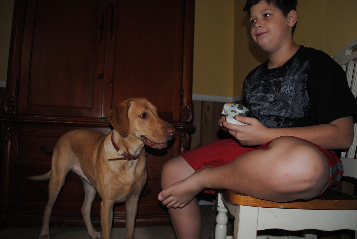 cody and lilly