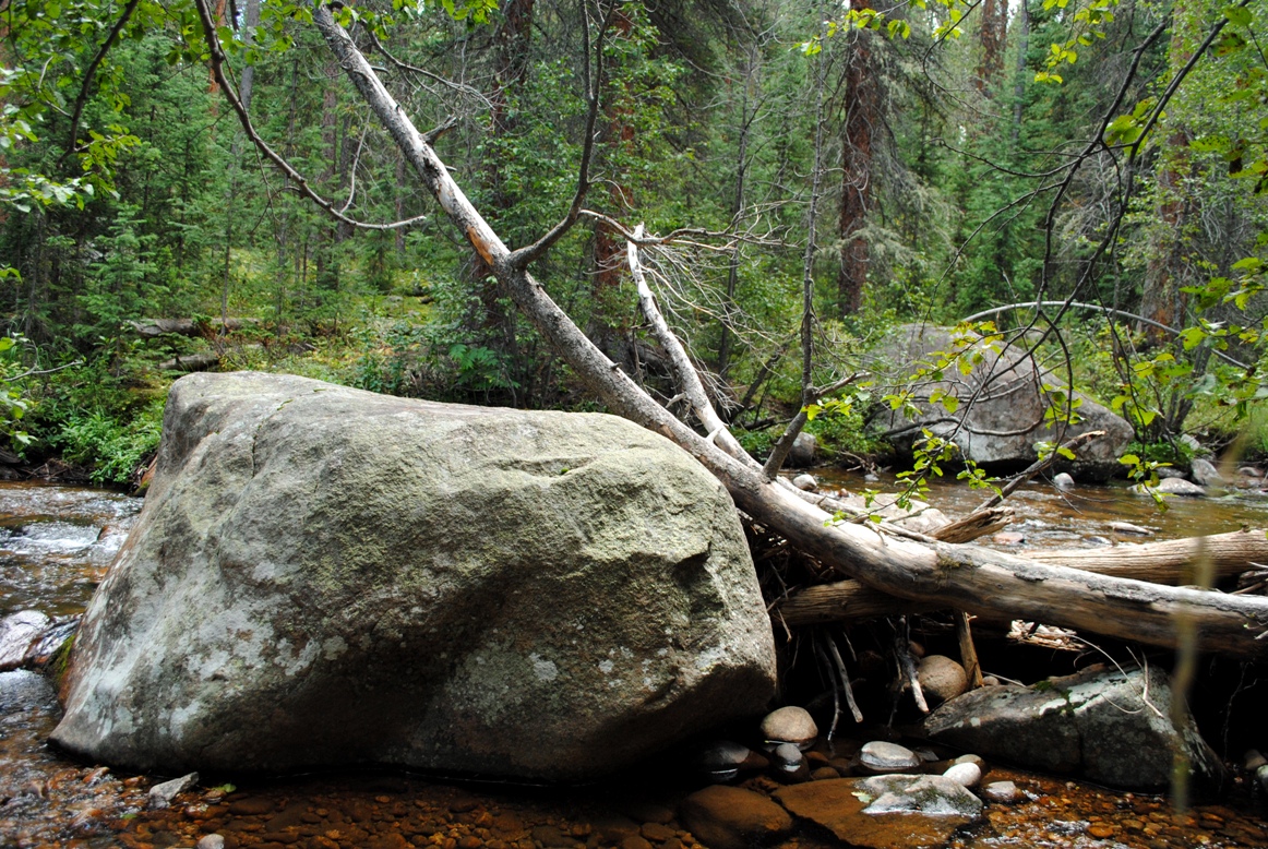 wilderness