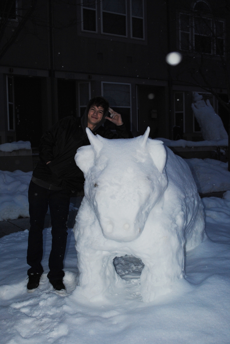 jack and the snow buffalo