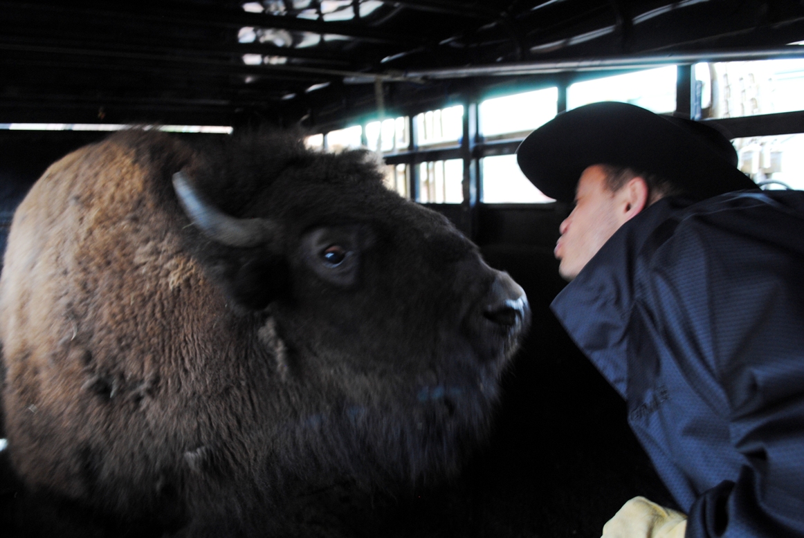 ralphie and chip