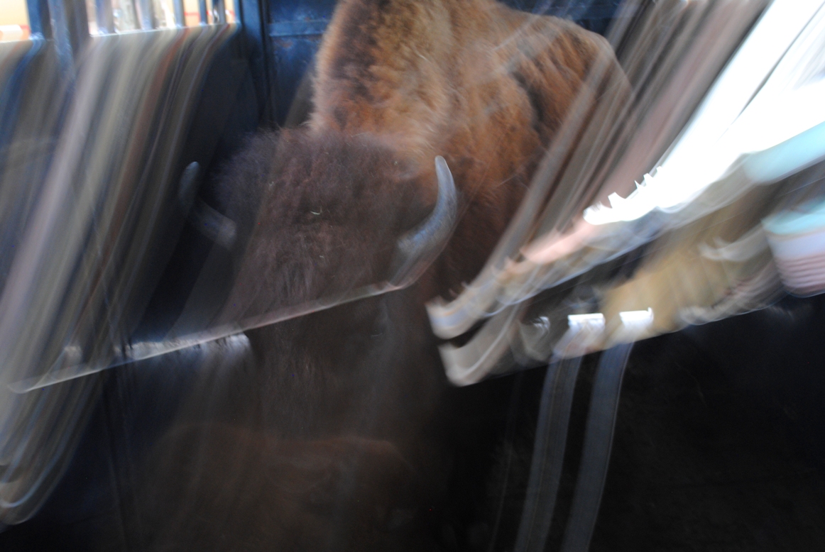 ralphie and more blur