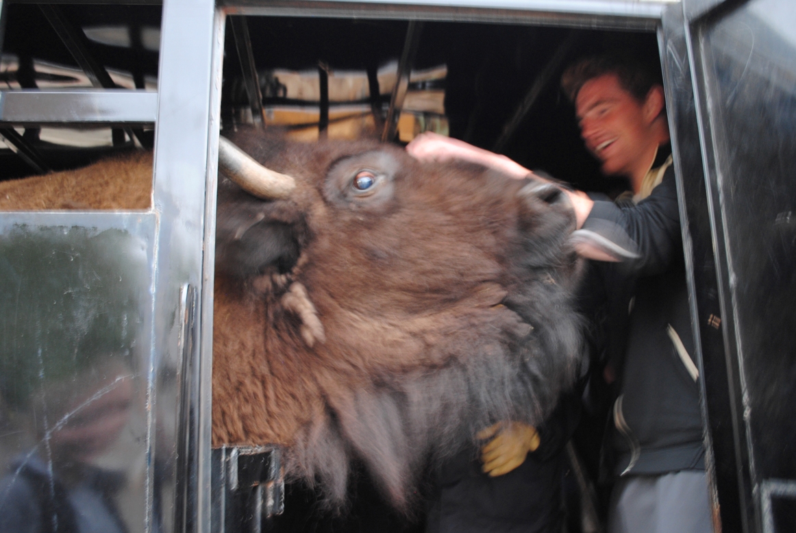 ralphie licking some guy