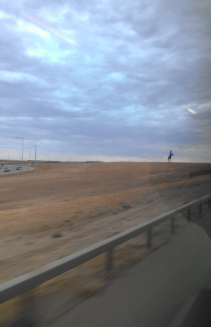 the bronco in sight