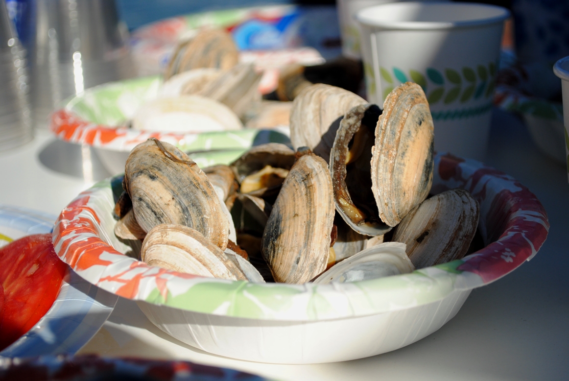 steamers