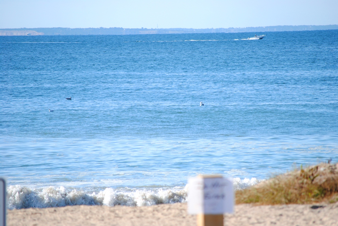 beach