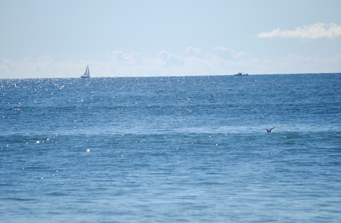 ocean