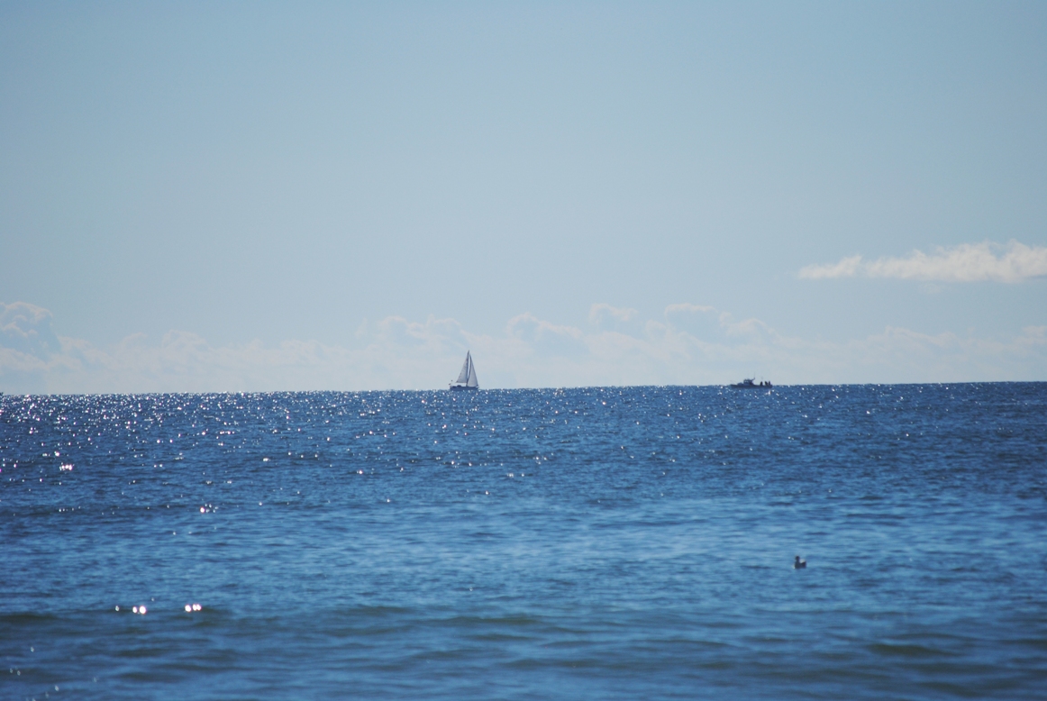 ocean