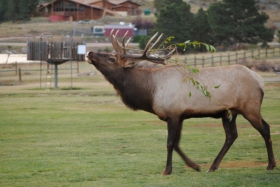 DSC_0232_thumbnail