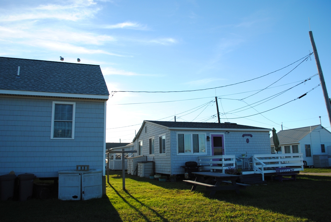beach houses