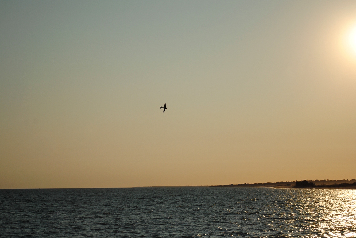 plane in sky