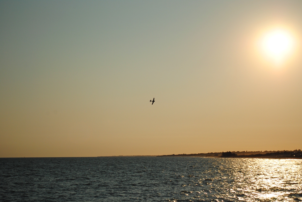 plane in sky