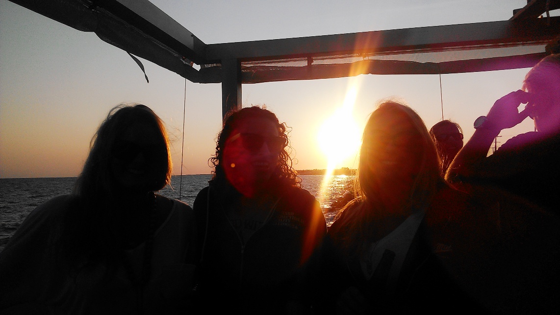 in the sunset