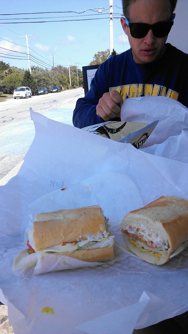 seaview with chip