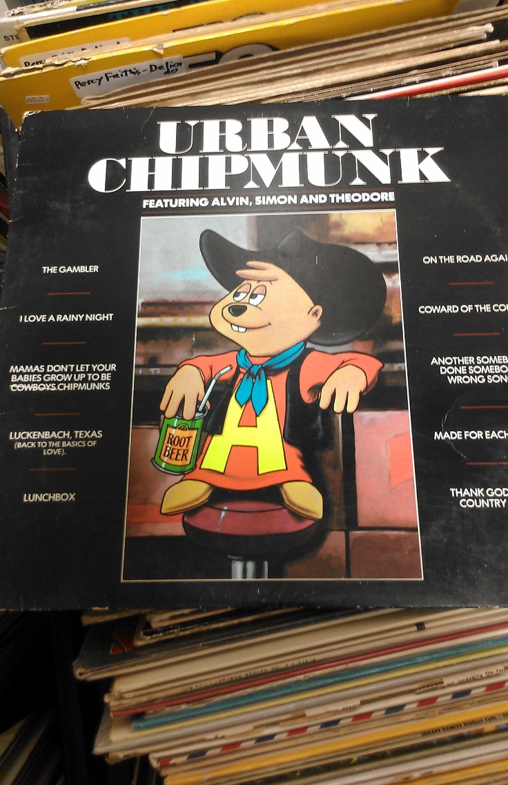 urban chipmunk