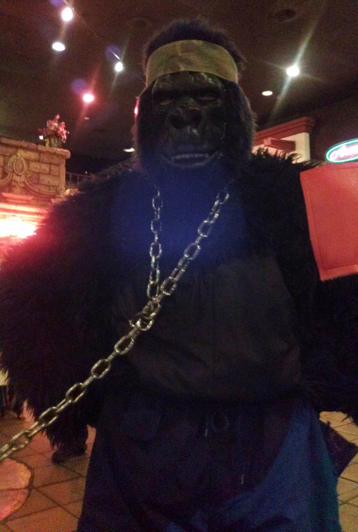 the gorilla stopped by to say hello